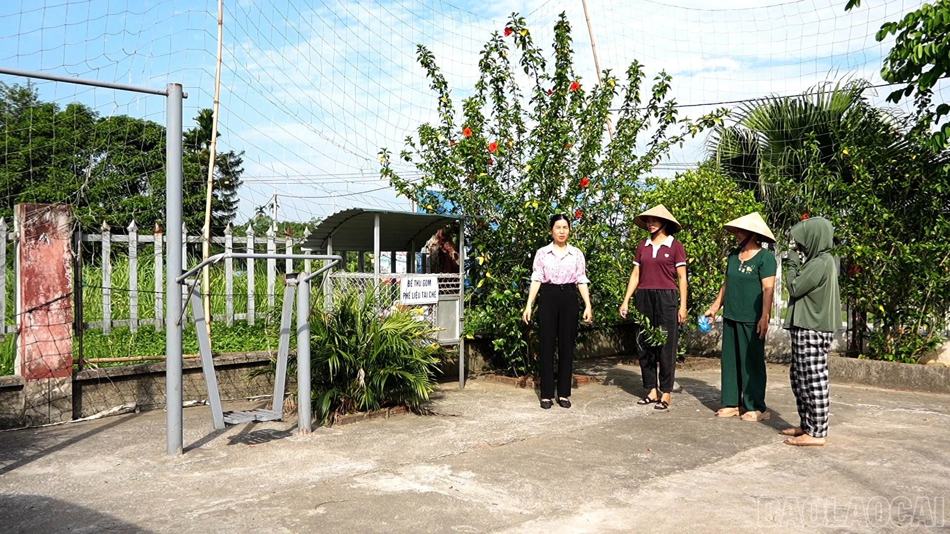 baolaocai-br_pn-6.jpg