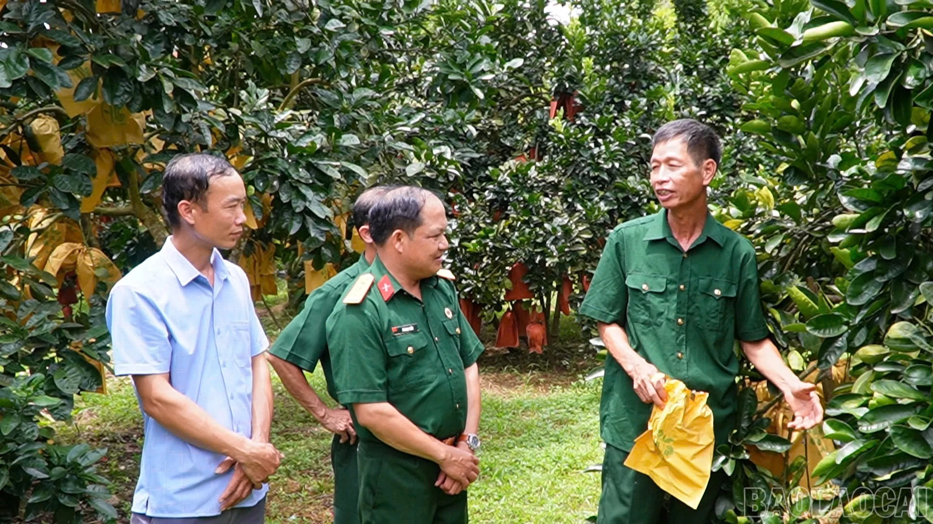 baolaocai-br_thac-ba-1.jpg