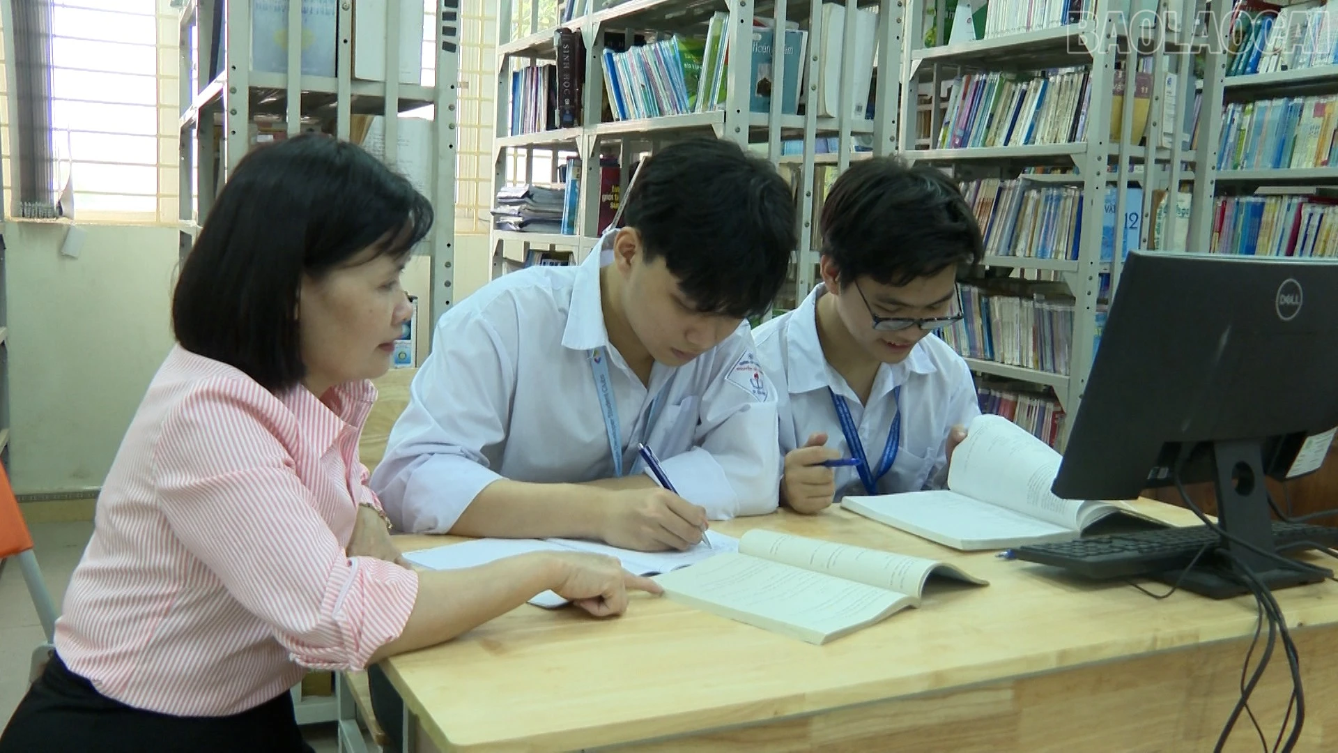 baolaocai-tr_anh-1.jpg