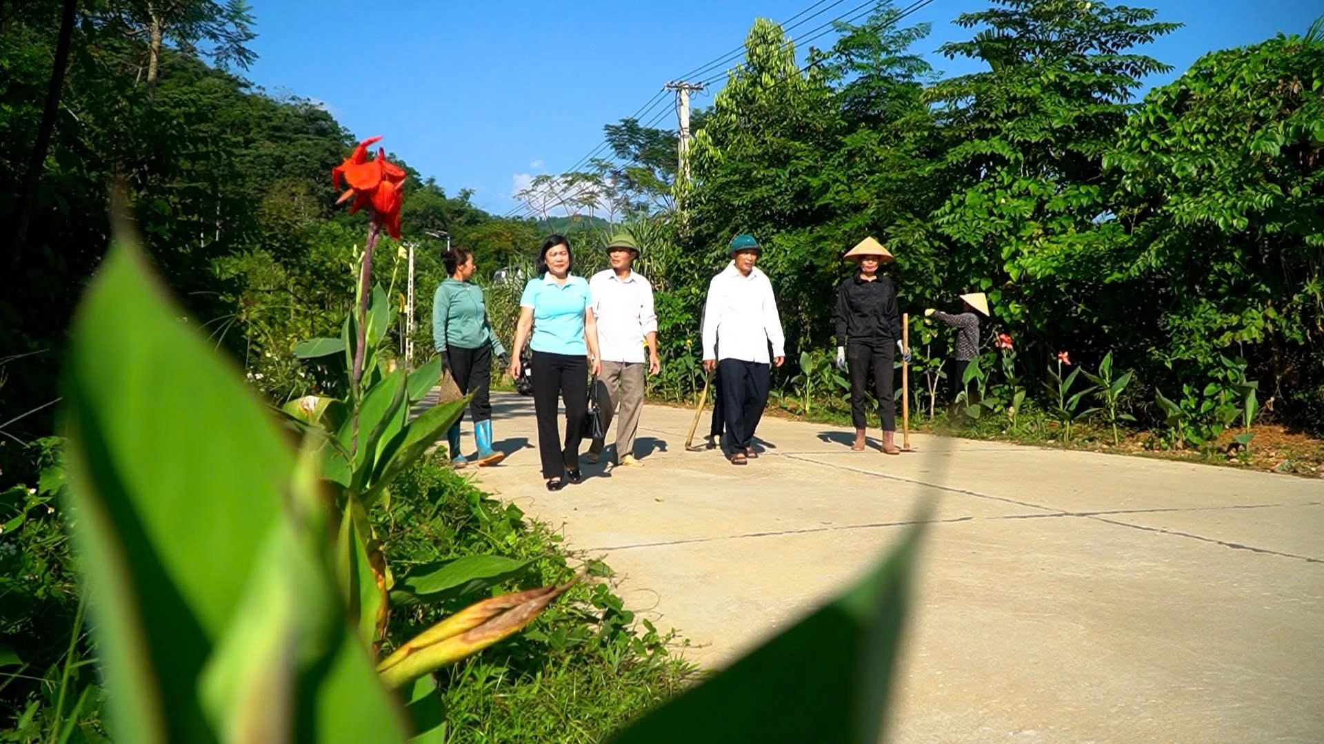 duong-hoa.jpg