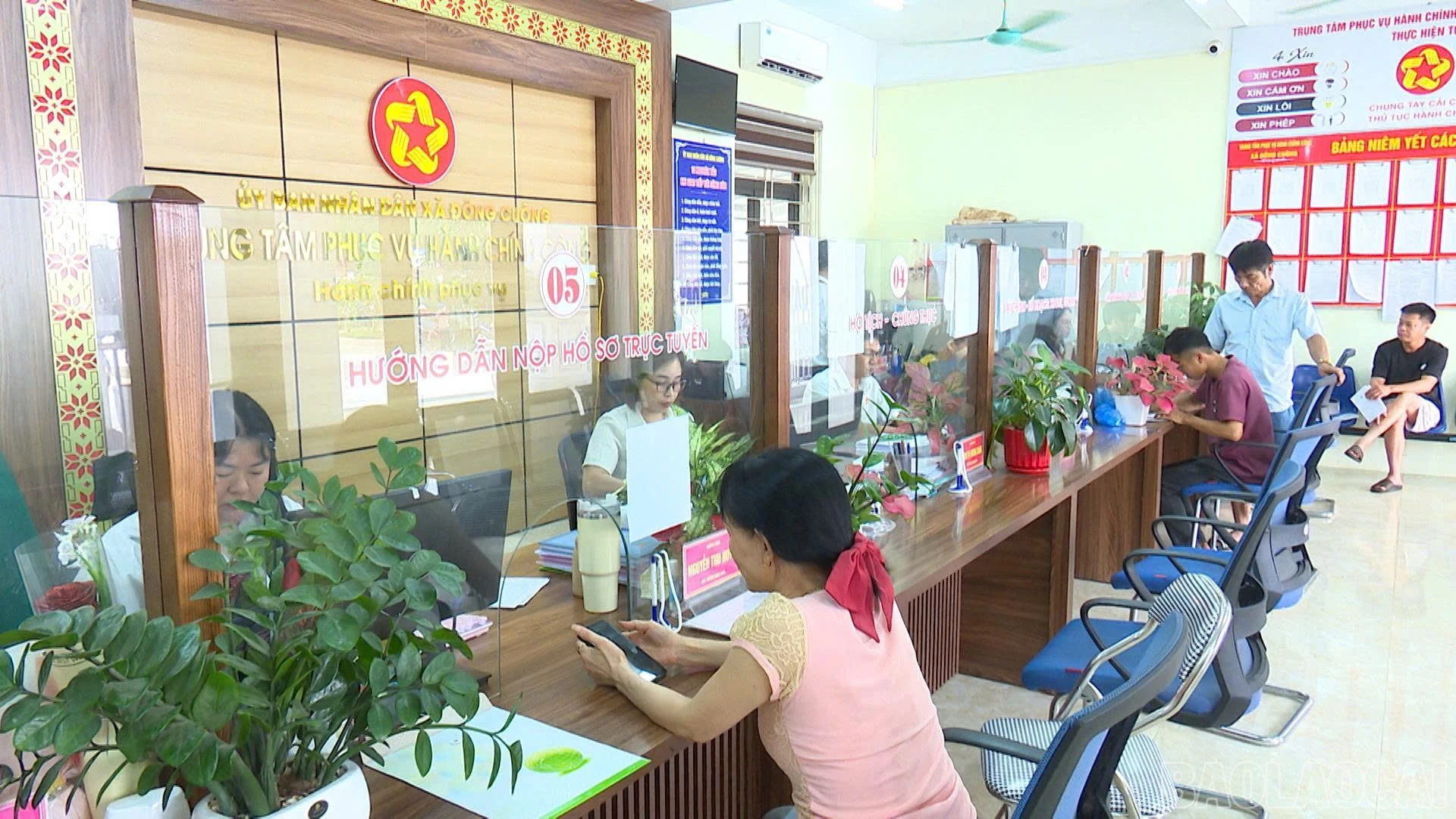 baolaocai-br_dcuong-4.jpg