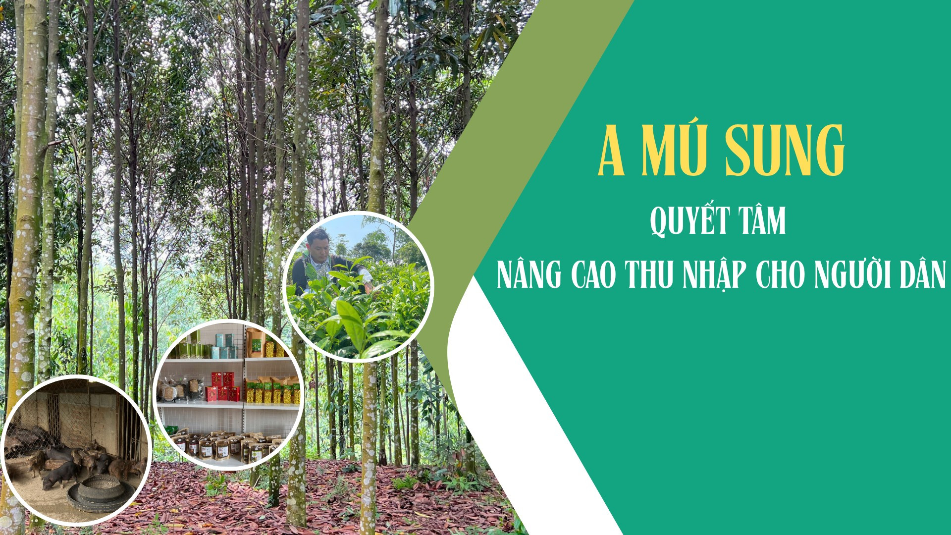 A Mú Sung quyết tâm nâng cao thu nhập cho người dân