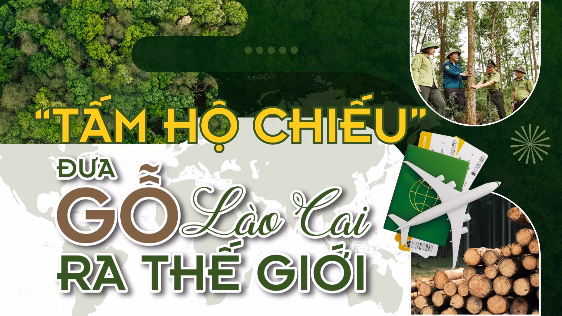 “Tấm hộ chiếu” đưa gỗ Lào Cai ra thế giới