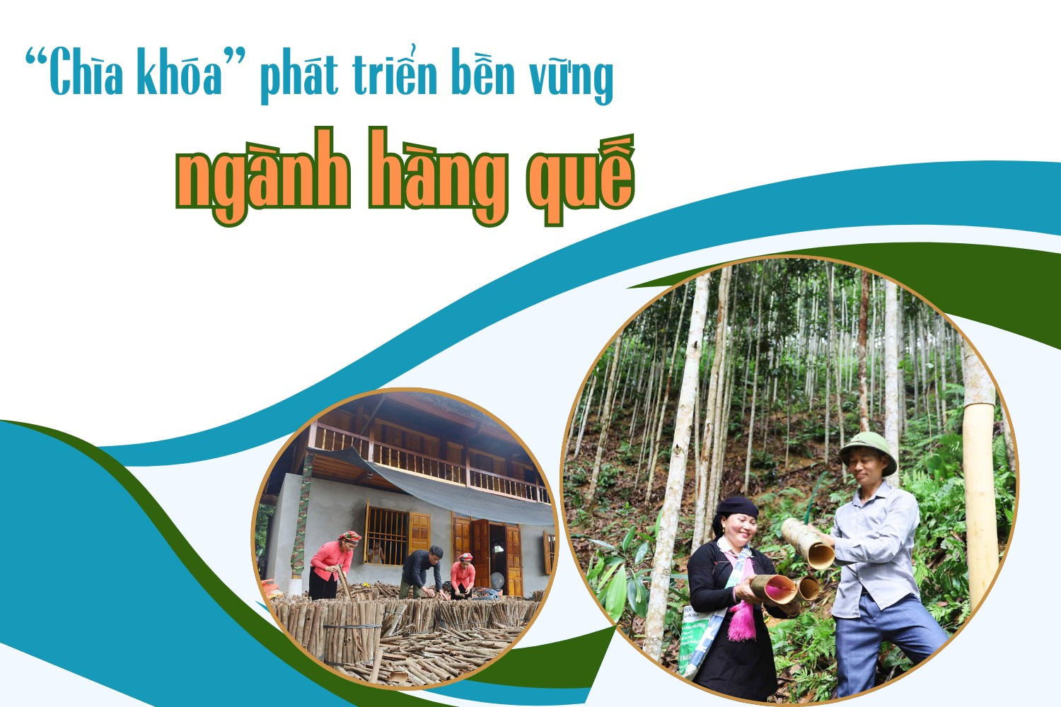 “Chìa khóa” phát triển bền vững ngành hàng quế