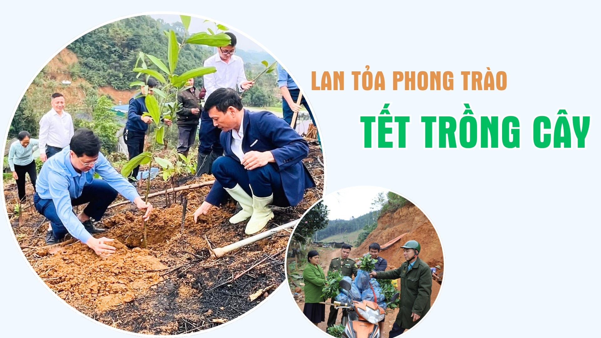 Lan tỏa phong trào Tết trồng cây