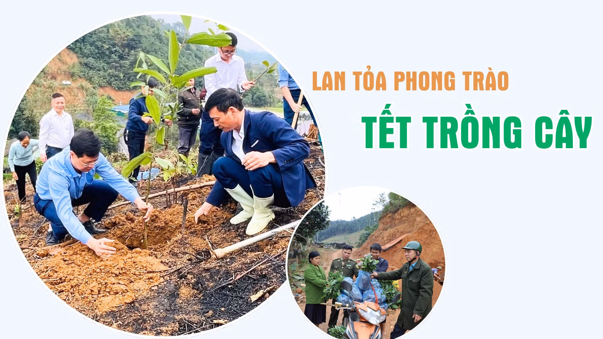 Lan tỏa phong trào Tết trồng cây