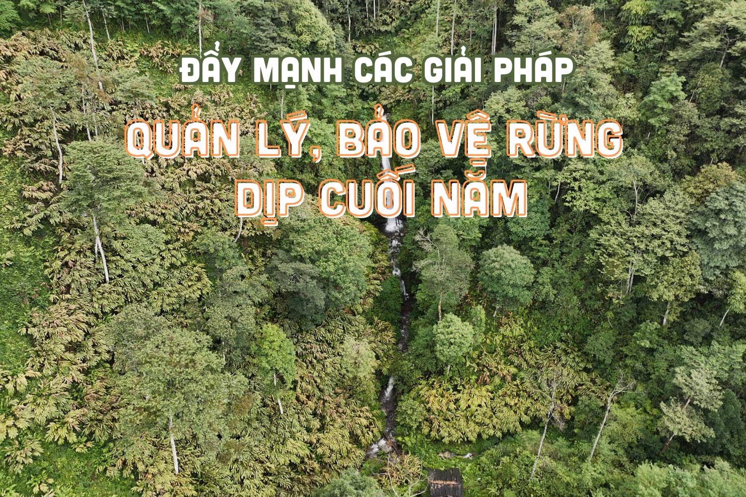 Đẩy mạnh các giải pháp quản lý, bảo vệ rừng dịp cuối năm