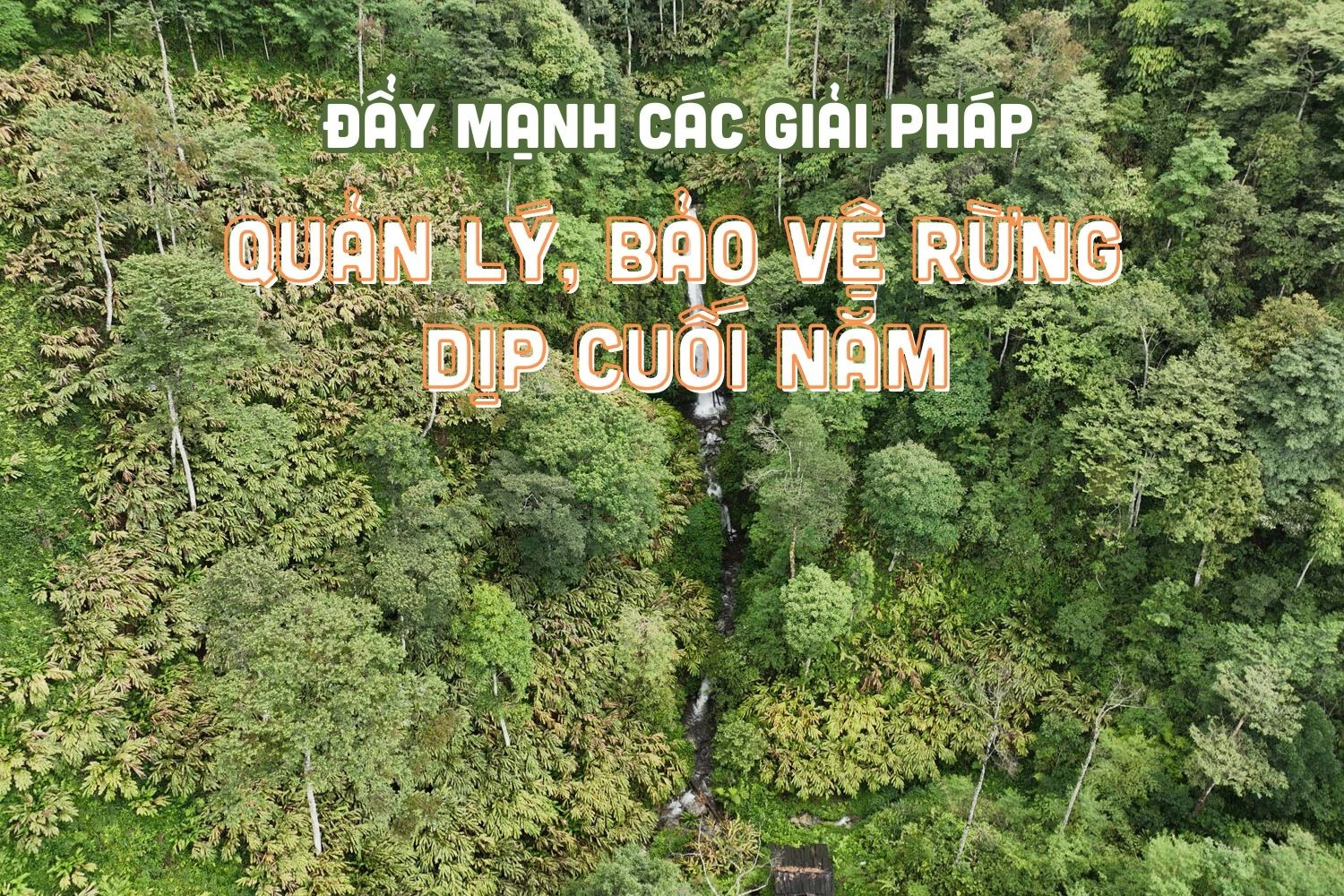 Đẩy mạnh các giải pháp quản lý, bảo vệ rừng dịp cuối năm