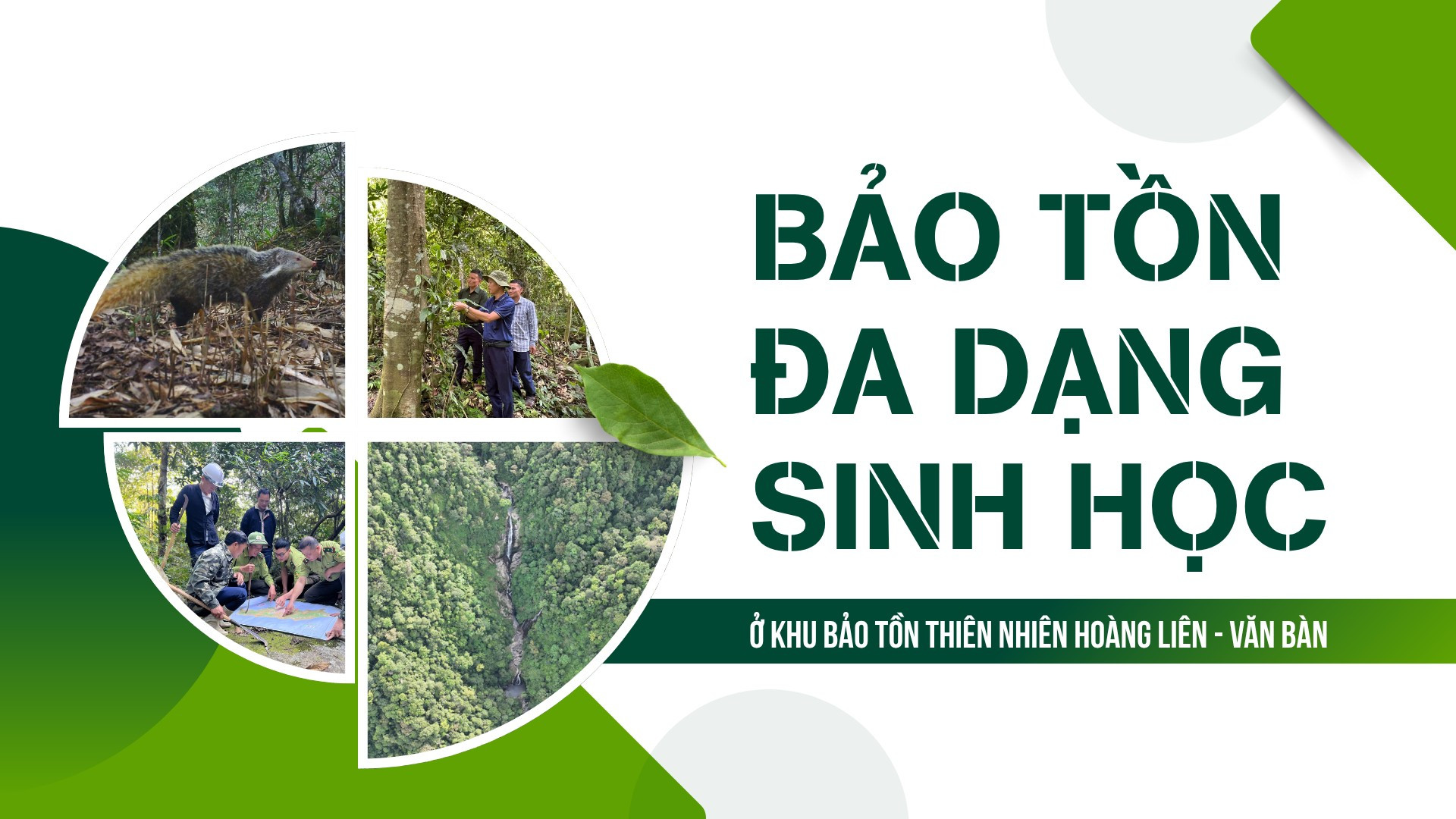 Bảo tồn đa dạng sinh học ở Khu Bảo tồn thiên nhiên Hoàng Liên - Văn Bàn