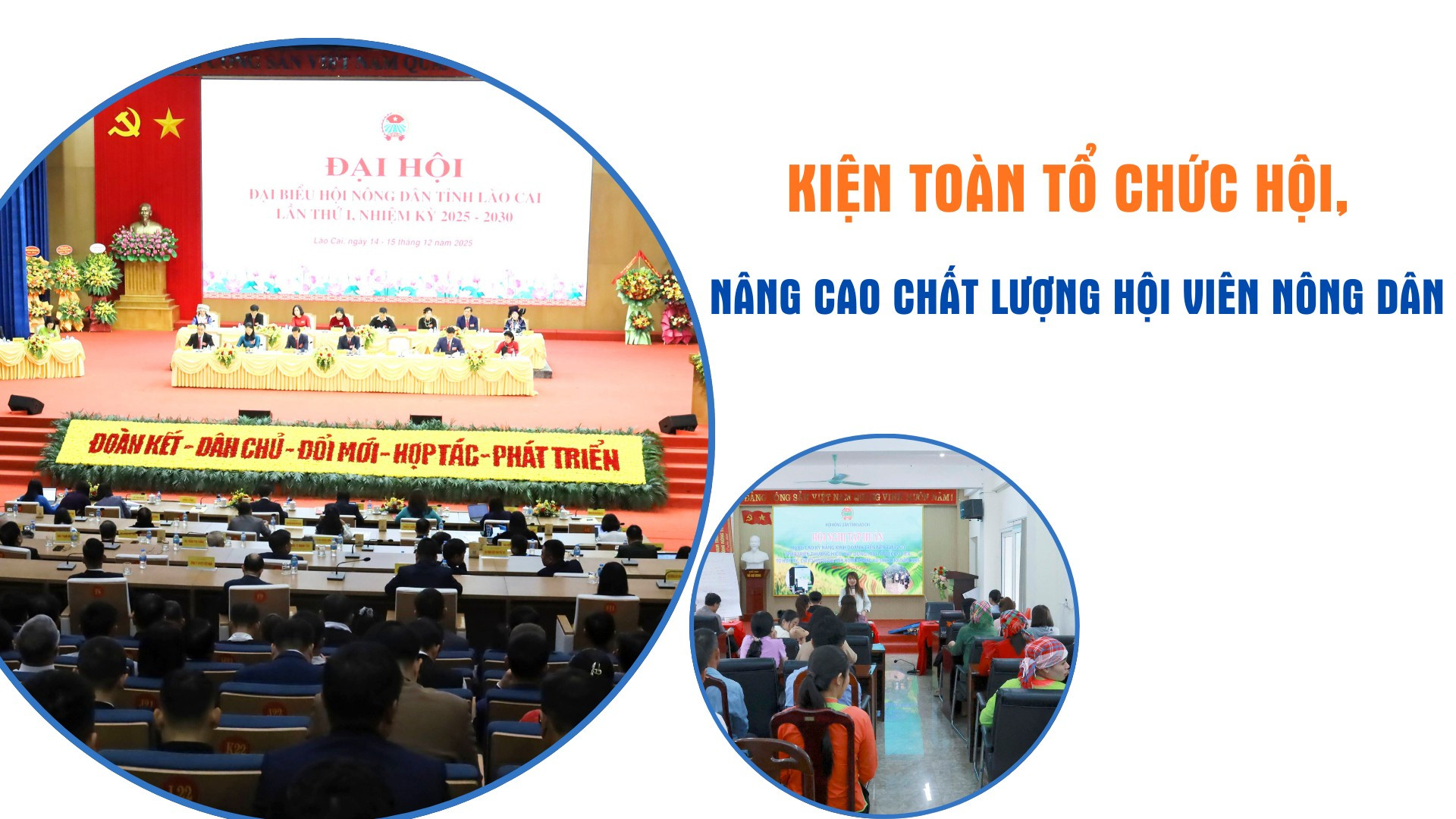 Kiện toàn tổ chức hội, nâng cao chất lượng hội viên nông dân