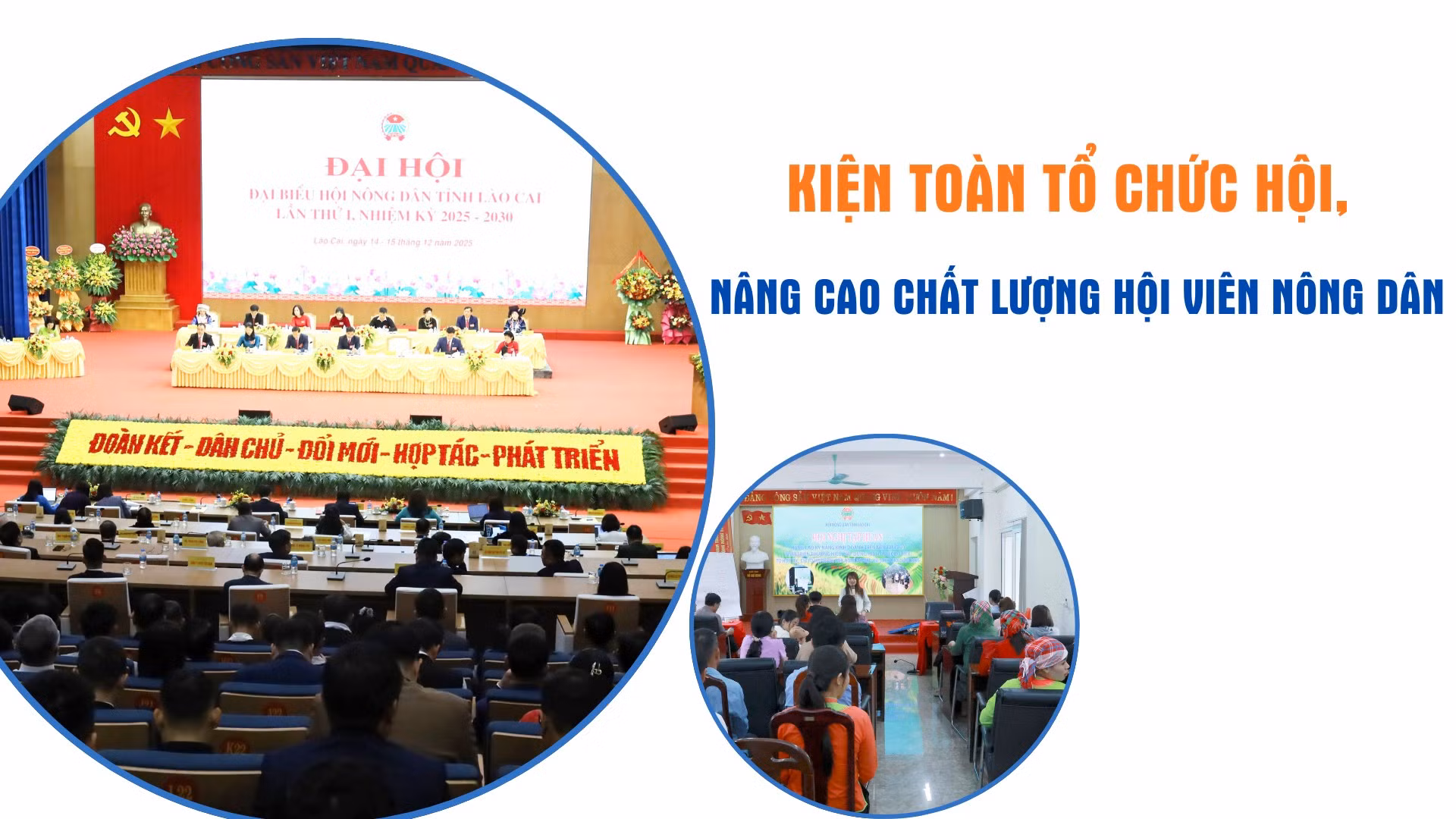 Kiện toàn tổ chức hội, nâng cao chất lượng hội viên nông dân