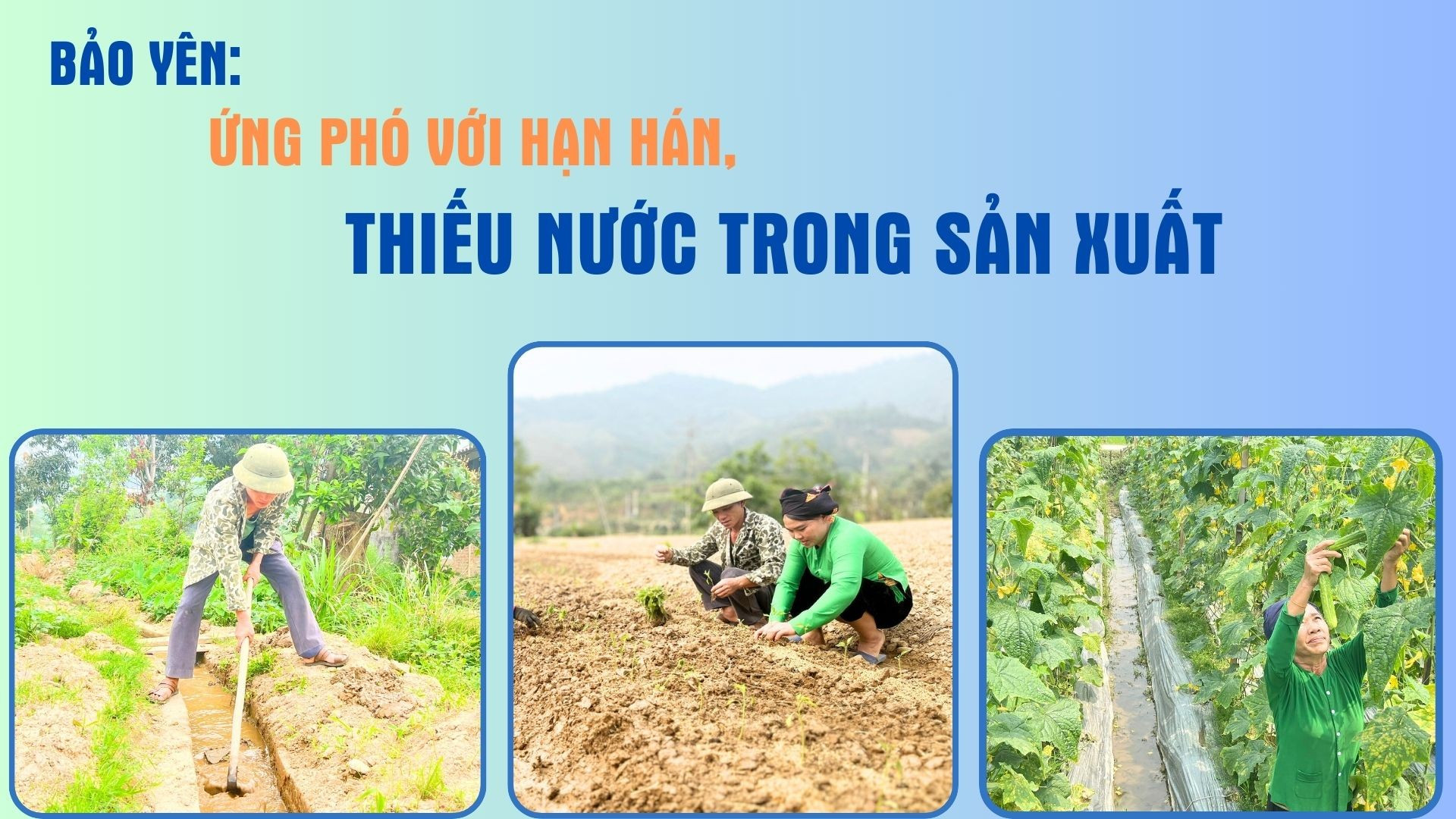 Bảo Yên: Ứng phó với hạn hán, thiếu nước trong sản xuất