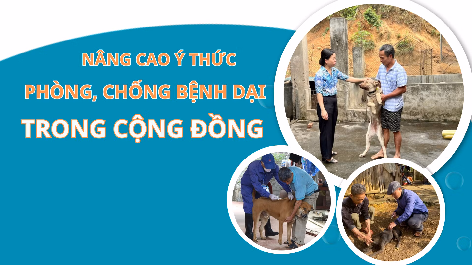 Nâng cao ý thức phòng, chống bệnh dại trong cộng đồng