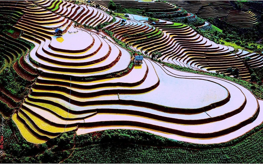 Ruộng bậc thang Mù Cang Chải - di tích quốc gia đặc biệt trở thành điểm đến của nhiều du khách trong và ngoài nước