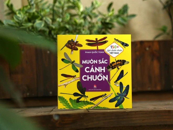 Sách ảnh giới thiệu vẻ đẹp và sự đa dạng của các loài chuồn chuồn ở Việt Nam. (Ảnh: PV/Vietnam+)