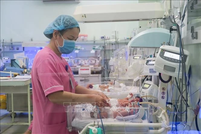 Điều dưỡng viên Khoa Sơ sinh chăm sóc cho trẻ sinh non. Ảnh: Đinh Hằng/TTXVN