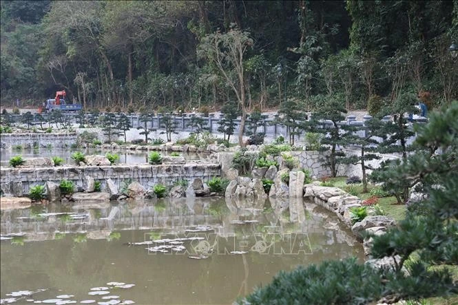 Hơn 60 cây tùng la hán đã được trồng và chăm sóc kỹ lưỡng xen lẫn các hòn non bộ và tiểu cảnh quanh ao sen đã hoàn thiện.