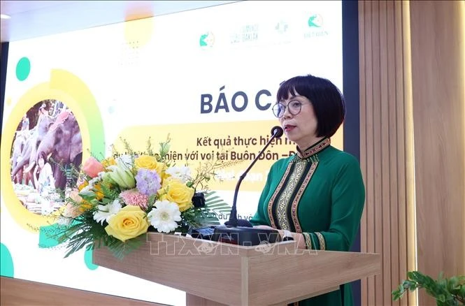 Bà Trần Thị Kim Ánh, Giám đốc Chi nhánh du lịch và khách sạn Biệt Điện (đơn vị quản lý Trung tâm du lịch Cầu treo Buôn Đôn) thông tin kết quả sau 2 năm thực hiện mô hình “Du lịch thân thiện với voi”, ngày 7/3.