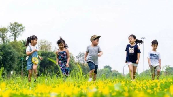 Việc bỏ quy định kỷ luật đảng viên sinh con thứ ba nhằm thích ứng linh hoạt trước những biến động về cơ cấu dân số và yêu cầu phát triển bền vững trong tình hình mới - Ảnh minh họa.