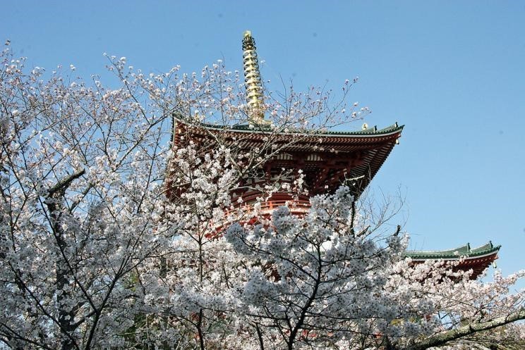 Narita, Nhật Bản. (Ảnh: Narita City Tourism Association) Narita, Nhật Bản. (Ảnh: Narita City Tourism Association)