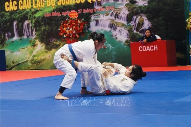 Các vận động viên tham gia thi đấu.