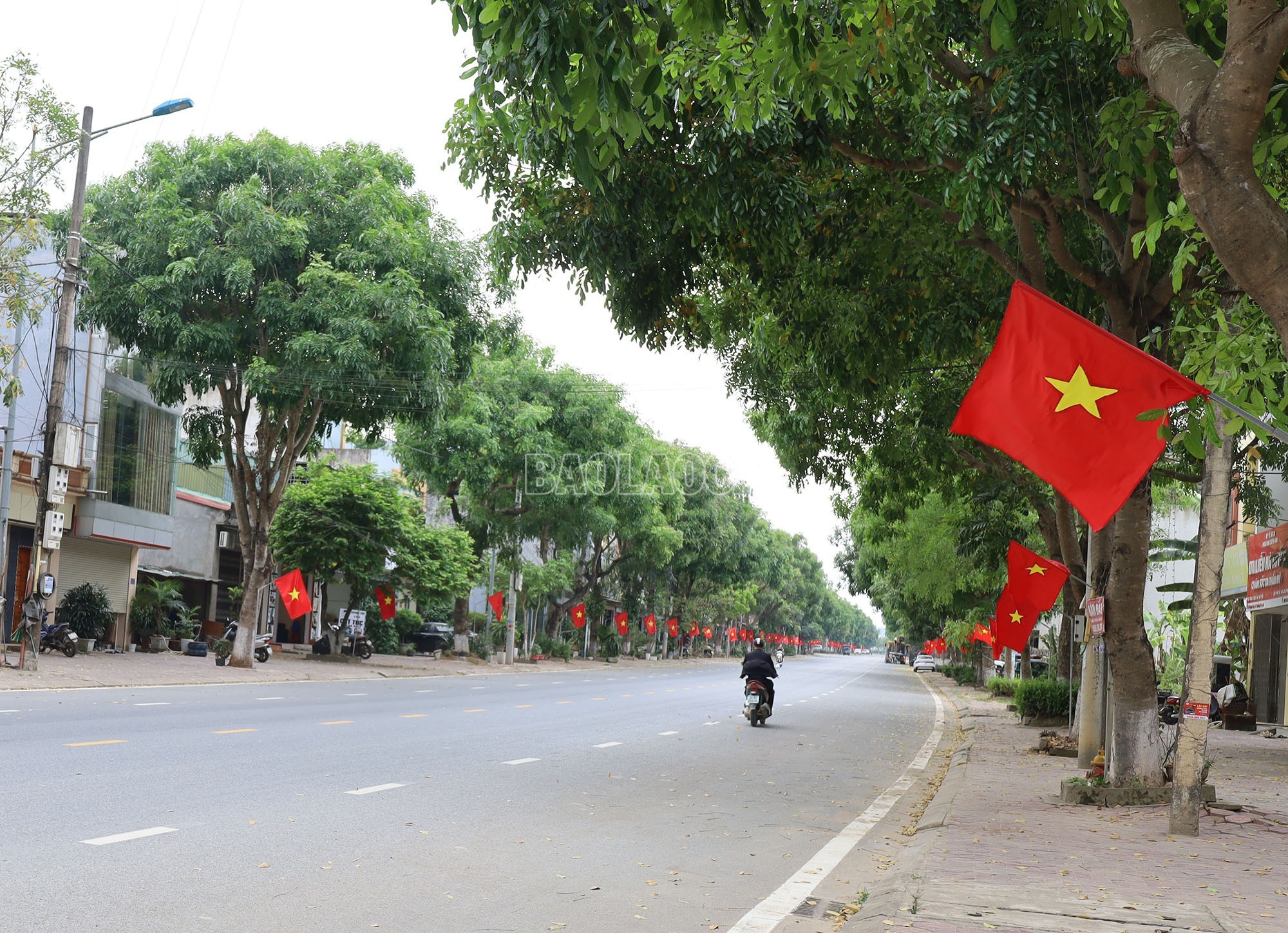 Treo cờ Tổ quốc ở các tuyến phố. Ảnh: Kim Thoa 3.jpg