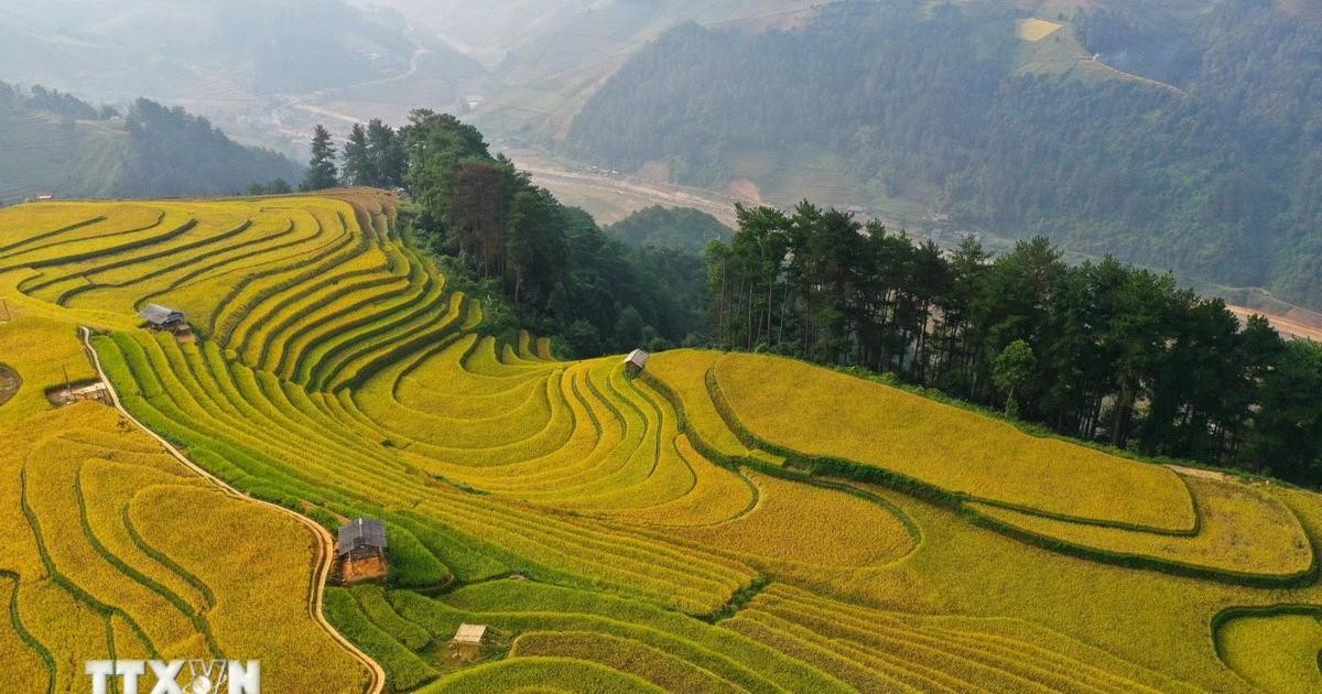 Mù Cang Chải (Yên Bái) lọt top 6 điểm đến tuyệt đẹp ở Việt Nam. 2705-mu-cang-chai.jpg
