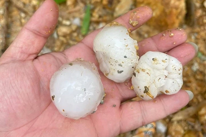 Những viên mưa đá to bằng quả mận, quả trứng gà.