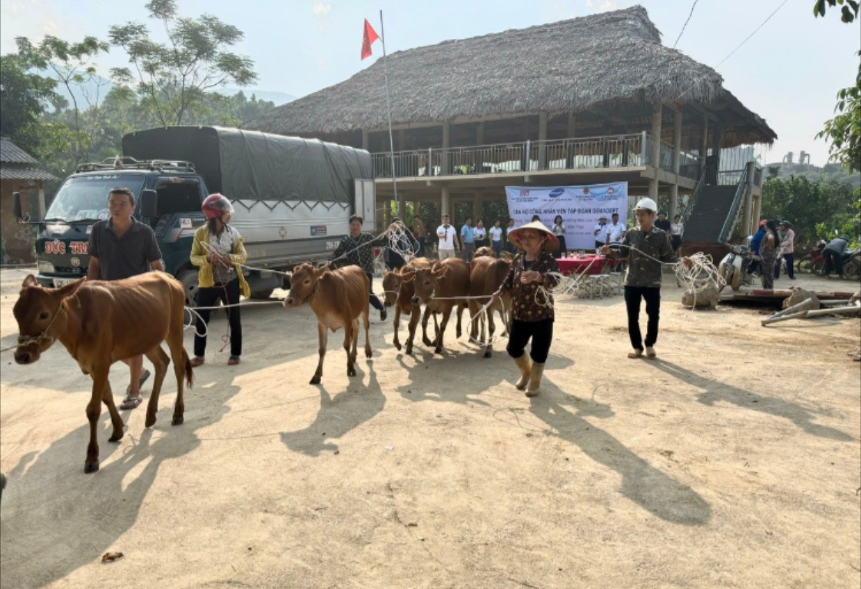 Người dân phấn khởi nhận bò giống. bo-giong-duoc-trao-tang-6743-38.jpg
