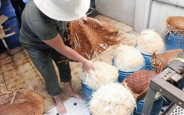 Số giá đỗ đã được tẩm hoạt chất độc hại được phát hiện tại cơ sở của các đối tượng.