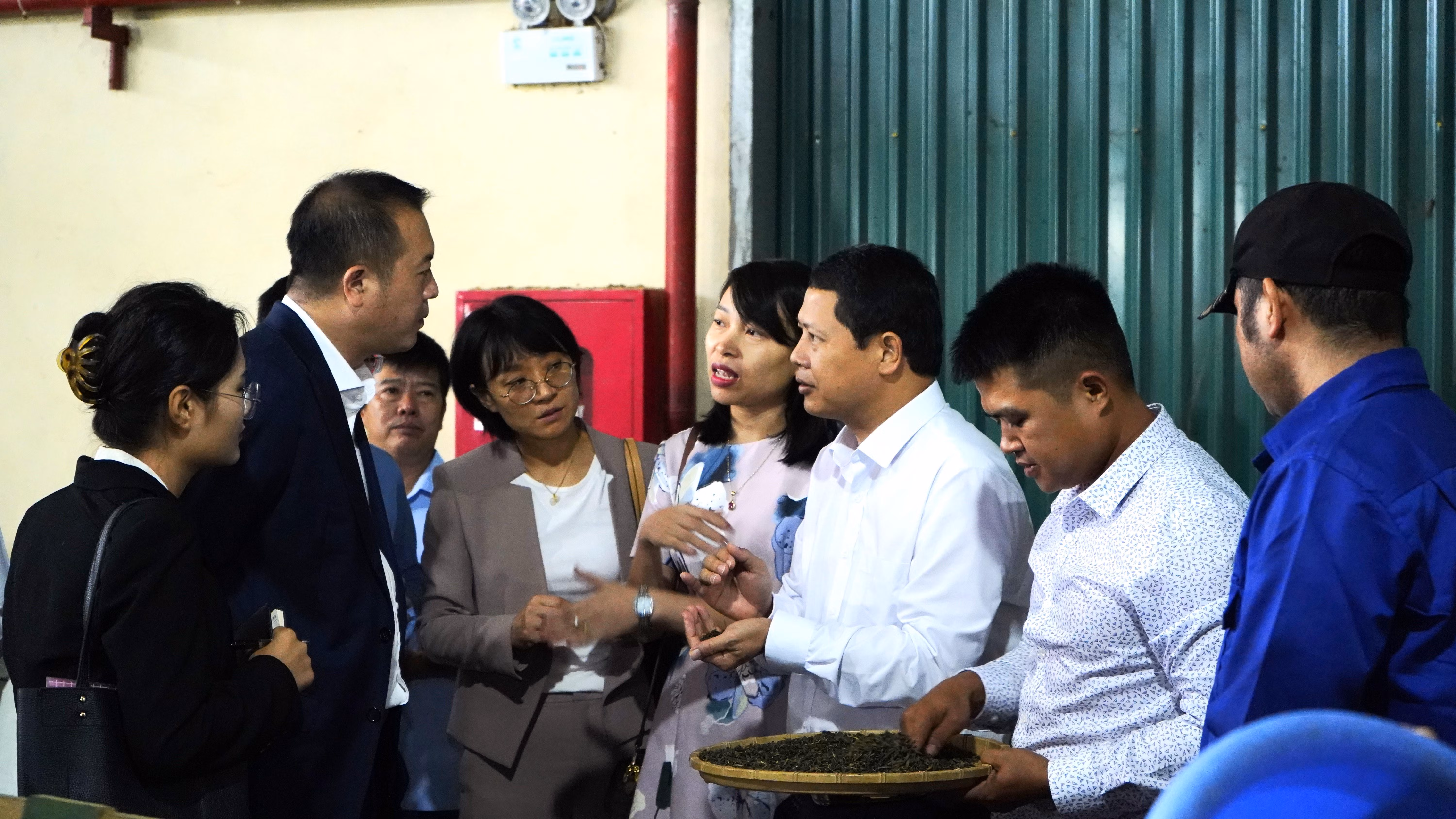 Đại biểu hai địa phương thăm quan Hợp tác xã sản xuất chè Mường Khương tại xã Lùng Vai, huyện Mường Khương, tỉnh Lào Cai (Việt Nam).....JPG