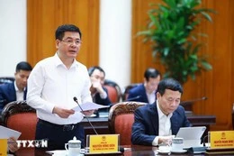 Bộ trưởng Công thương Nguyễn Hồng Diên báo cáo tại cuộc họp. Ảnh: TTXVN