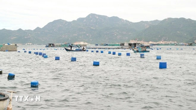 Lồng bè nuôi tôm hùm trên đảo Bình Ba. (Ảnh: Đặng Tuấn/TTXVN)