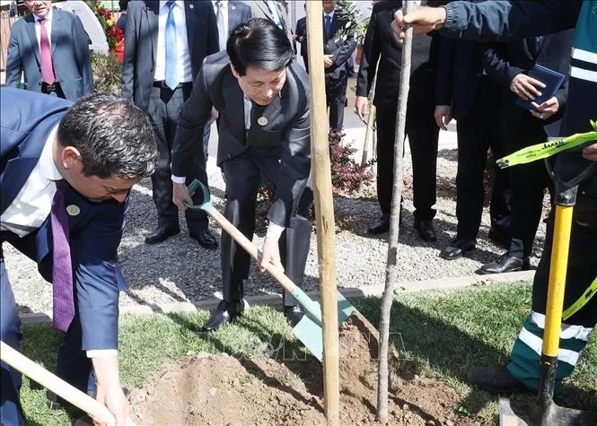 Chủ tịch nước Lương Cường trồng cây lưu niệm tại Công viên Chủ tịch Hồ Chí Minh ở quận Cerro Navia, thủ đô Santiago de Chile. Ảnh: Lâm Khánh/TTXVN