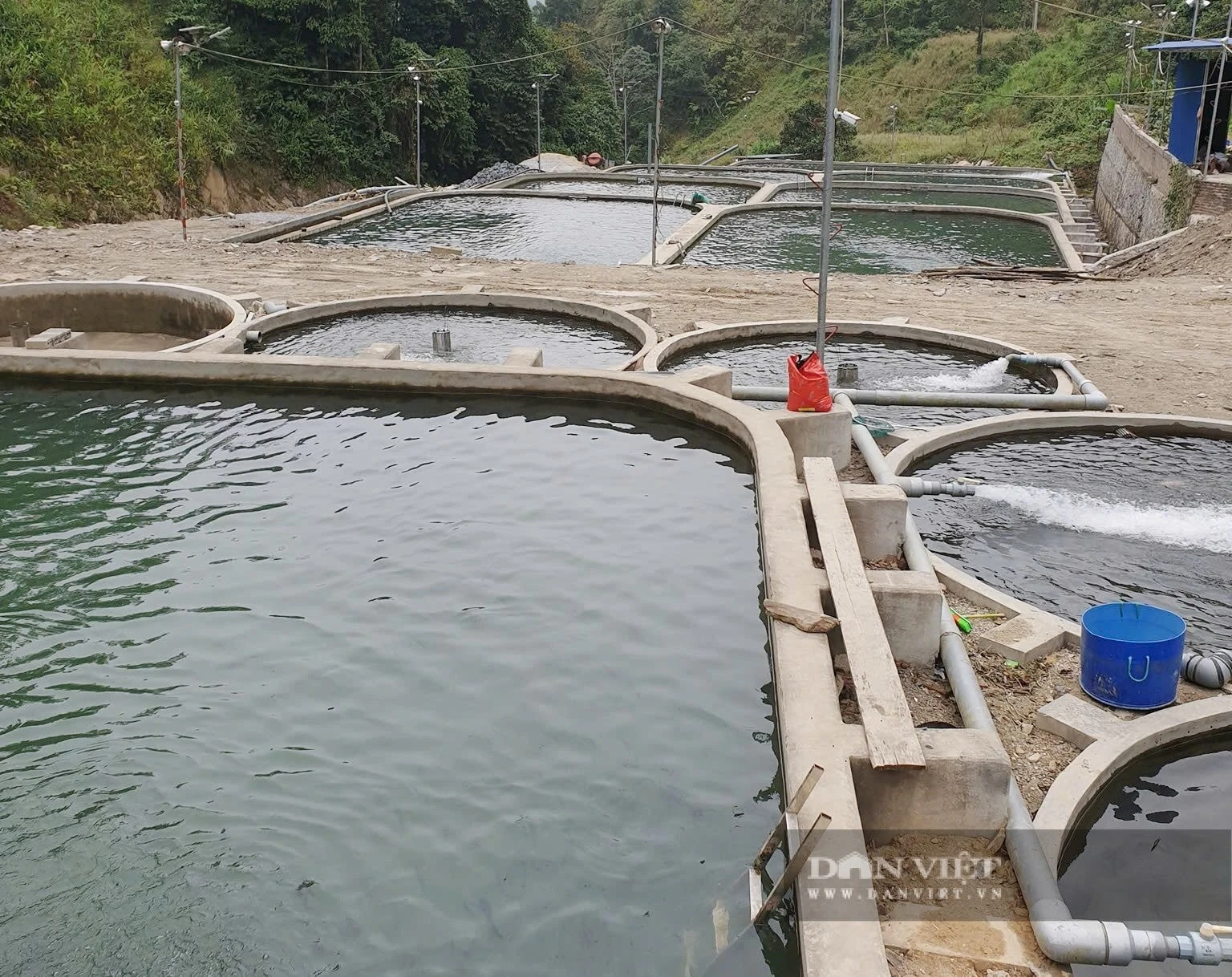 Các trại cá nước lạnh của HTX Thức Mai được đầu tư xây dựng rất hiện đại.