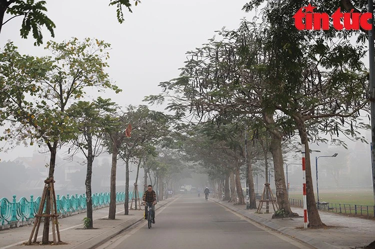 Bắc Bộ có sương mù, mưa phùn.