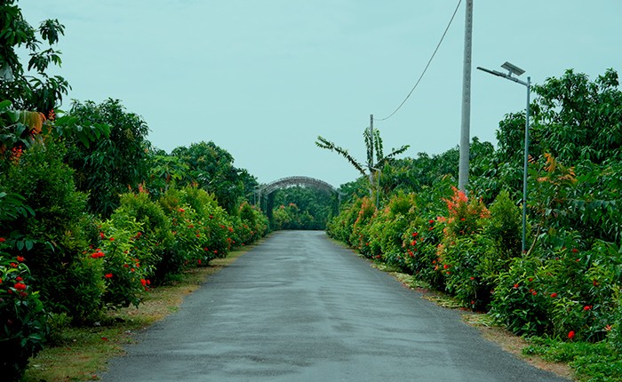 Tuyến đường nông thôn được lắp đặt hệ thống chiếu sáng thông minh. Ảnh: dongthap.gov.vn Tuyến đường nông thôn được lắp đặt hệ thống chiếu sáng thông minh. Ảnh: dongthap.gov.vn