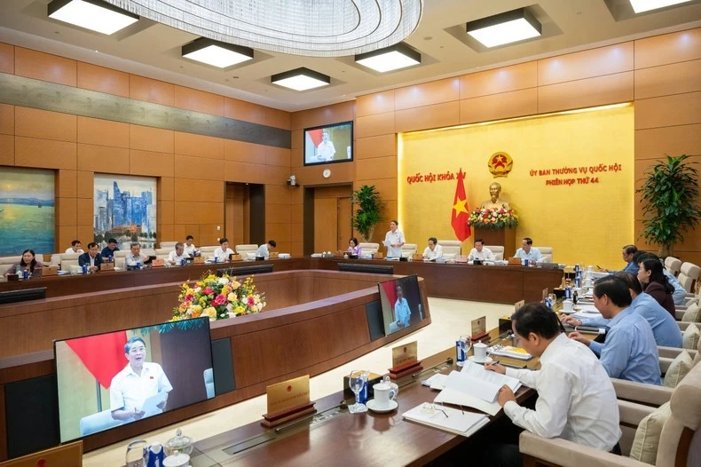 Quang cảnh phiên họp. (Ảnh: ĐĂNG ANH)