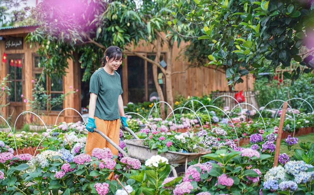 Các cơ sở du lịch trên địa bàn tỉnh tập trung tạo cảnh quan môi trường xanh, sạch, đẹp để thu hút du khách mùa hè này. 351180-san-sang-mua-dulich.jpg