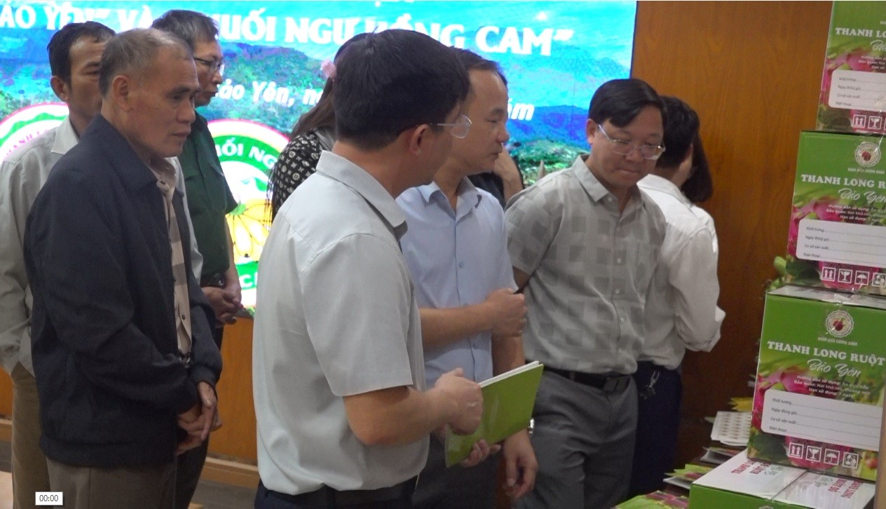 Các đại biểu tham quan gian trưng bày sản phẩm "Thanh Long Bảo Yên" và "Chuối ngự Hồng Cam". cac-dao-bieu-tham-quan-trung-bay-gian-trung-bay-chung-nhan-nhan-hieu-thanh-long-bao-yen-va-chuoi-ngu-hong-cam.jpg