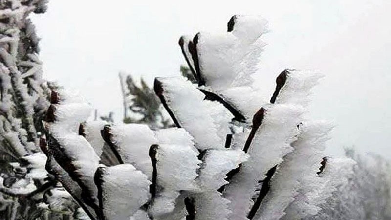 Trong đợt không khí lạnh này, vùng núi cao Bắc Bộ có khả năng xảy ra mưa tuyết và băng giá. (Ảnh minh họa) z592858-7048-1488.jpg