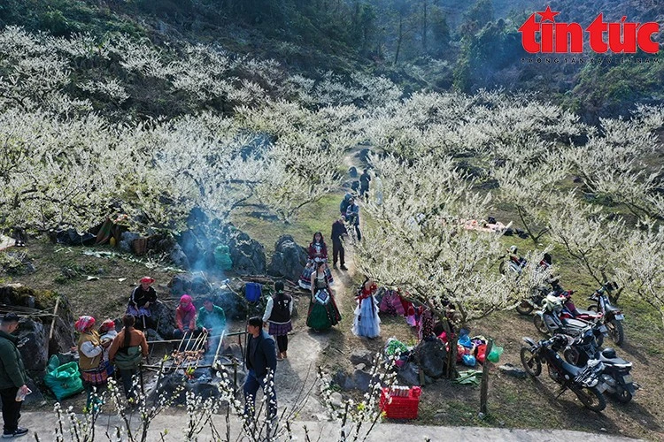 Bắc Bộ có mưa ẩm, trời rét.