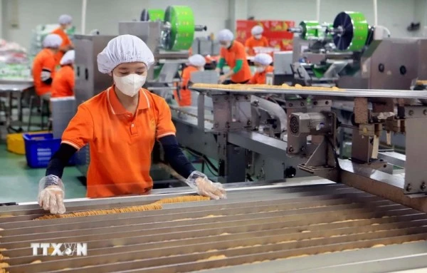 Kinh tế tư nhân được đặt nhiều kỳ vọng bứt phá và phát triển, đưa kinh tế đất nước vững mạnh bước vào kỷ nguyên mới. (Ảnh: TTXVN)