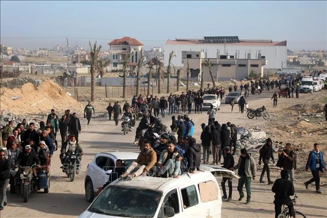 Người tị nạn Palestine trở về nhà tại thành phố Rafah, sau khi lệnh ngừng bắn ở Dải Gaza có hiệu lực, ngày 19/1/2025. Ảnh: THX/TTXVN