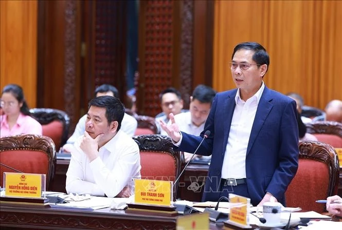 Phó Thủ tướng, Bộ trưởng Ngoại giao Bùi Thanh Sơn phát biểu. Ảnh: Dương Giang/TTXVN