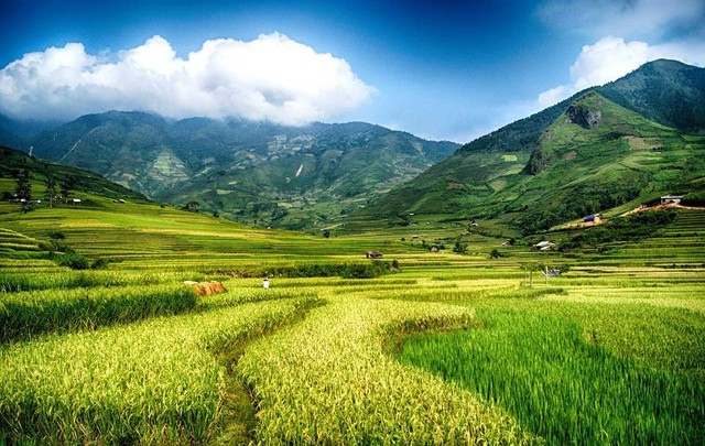 ជ្រលង Muong Lo នៅ Nghia Lo ជាមួយនឹងវាលរាបស្មើដ៏ធំសម្បើមដែលរត់តាមជម្រាលភ្នំ។ រូបថត៖ mia.vn Thung lũng Mường Lò ở Nghĩa Lộ với những thửa ruộng bậc thang bát ngát chạy dọc theo triền đồi. Ảnh: mia.vn.