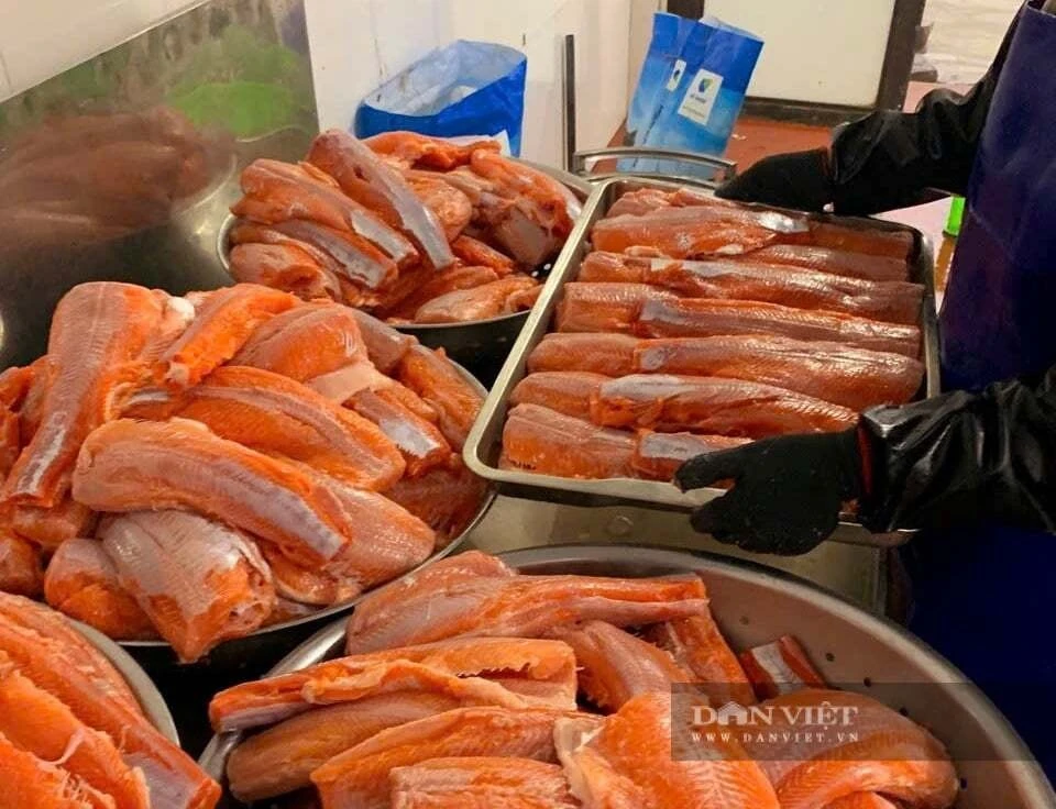 Cá hồi tươi sống sau khi được thu hoạch sẽ được chế biến ra nhiều sản phẩm khác nhau.