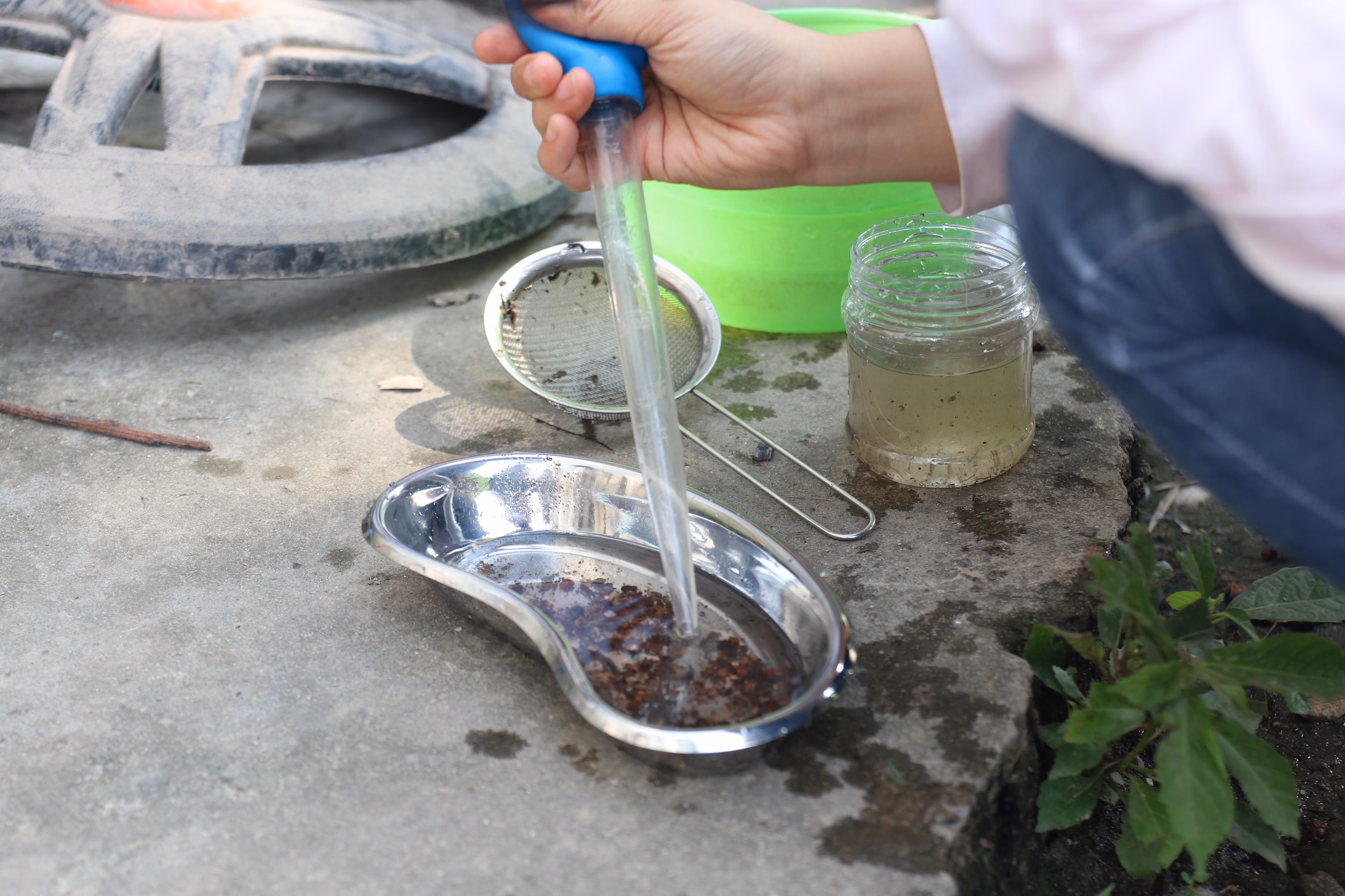 anh 2. tin bat muoi.JPG