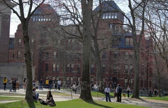 Sinh viên trong khuôn viên Đại học Harvard ở Cambridge, bang Massachusetts, Mỹ ngày 15/4. Ảnh: REUTERS/TTXVN Sinh viên trong khuôn viên Đại học Harvard ở Cambridge, bang Massachusetts, Mỹ ngày 15/4. Ảnh: REUTERS/TTXVN