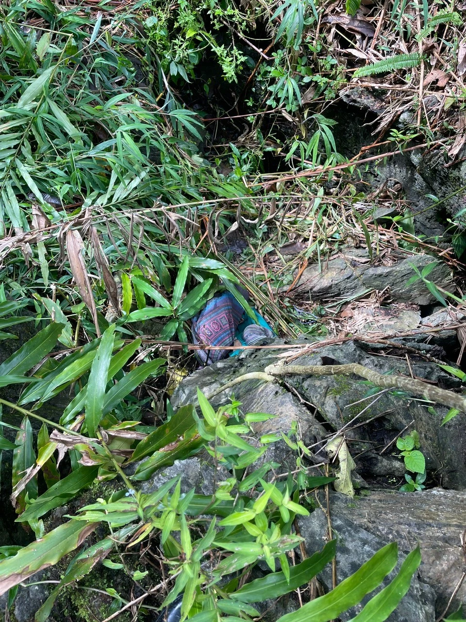 Cụ Dúng bị ngất trong gốc đá trên rừng.jpg